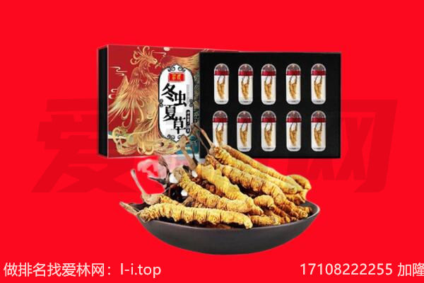 鹰潭回收虫草.jpg